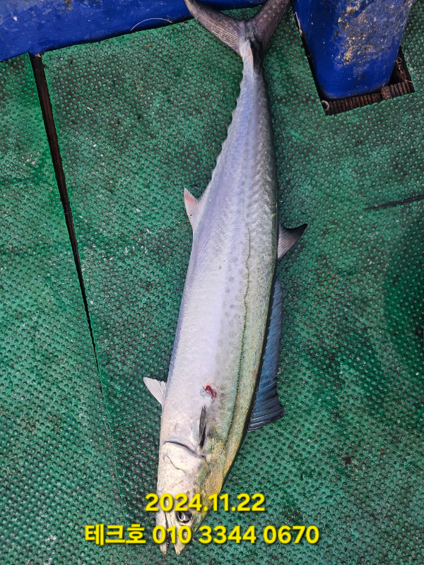 KakaoTalk_20241122_184738164_05.jpg