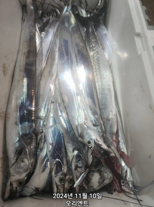 화면 캡처 2024-11-11 075824.jpg