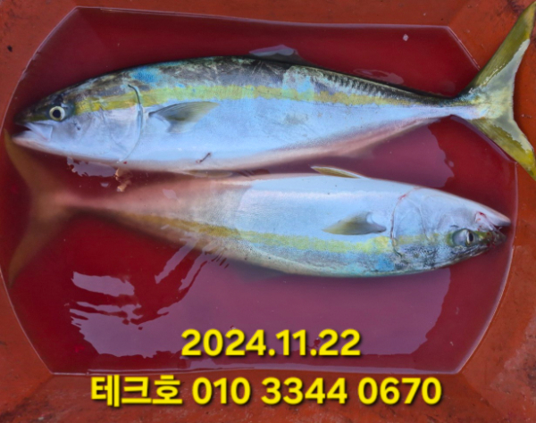 KakaoTalk_20241122_184738164_06.jpg