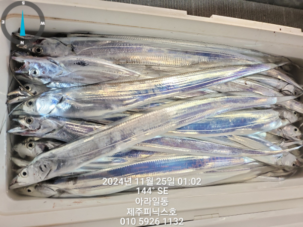 KakaoTalk_20241125_070301802_10.jpg