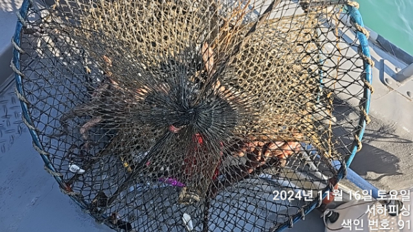 1731739600505-9.jpg
