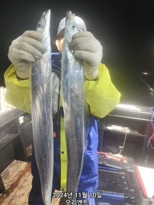 화면 캡처 2024-11-11 075323.jpg