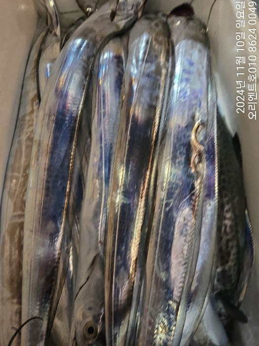 화면 캡처 2024-11-11 075951.jpg