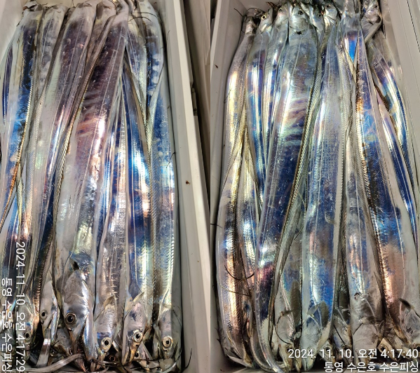 1731182559928-3-tile.jpg