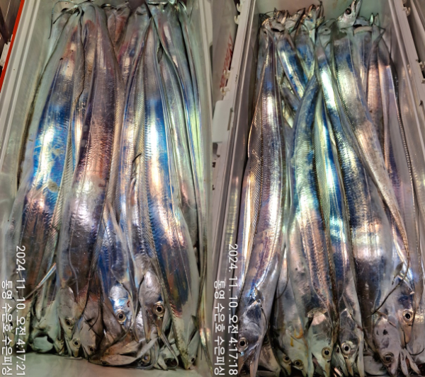 1731182559928-7-tile.jpg