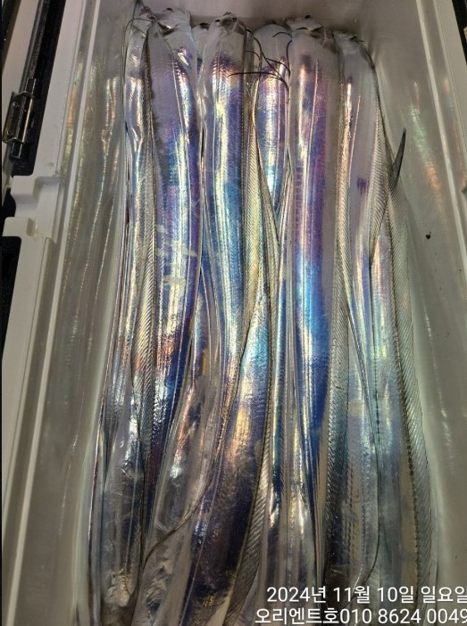 화면 캡처 2024-11-11 075922.jpg