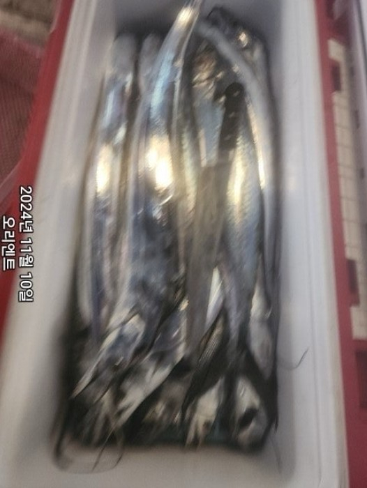 화면 캡처 2024-11-11 080143.jpg