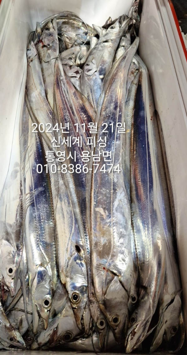 1732148100145.jpg