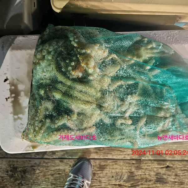 643d4a3c762e7514a2cdb70126f17eb3.jpg