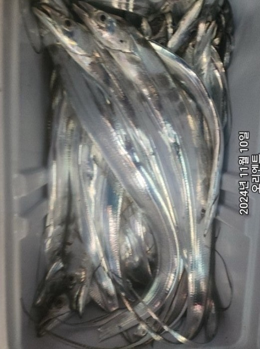 화면 캡처 2024-11-11 080339.jpg