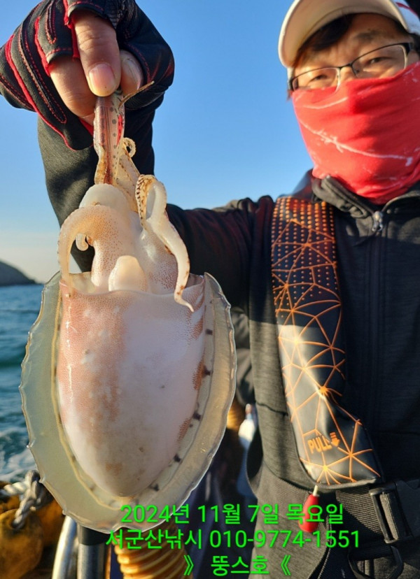 군산 선상낚시, 바다낚시 출조 전문 ☆서군산낚시☆_사진_20241107_2.jpg