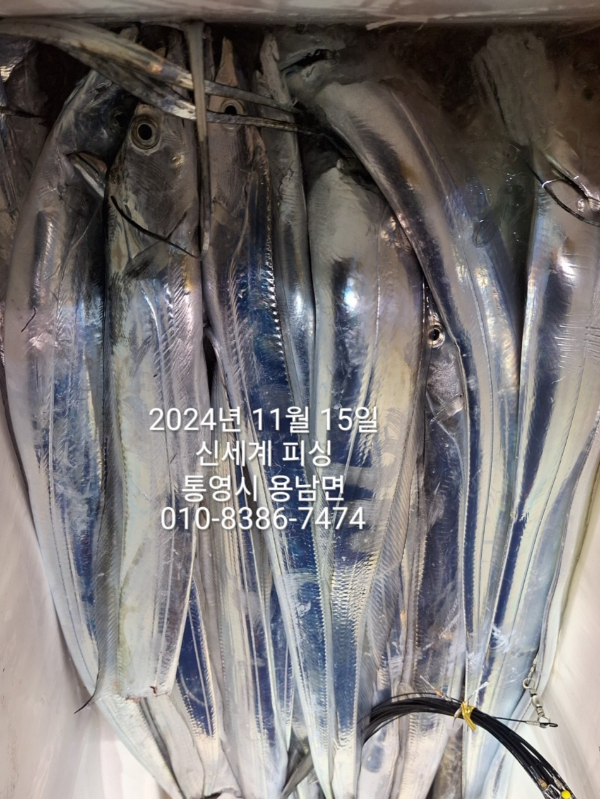 1731624114200.jpg