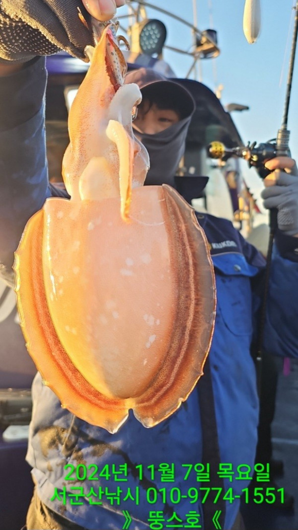 군산 선상낚시, 바다낚시 출조 전문 ☆서군산낚시☆_사진_20241107_8.jpg
