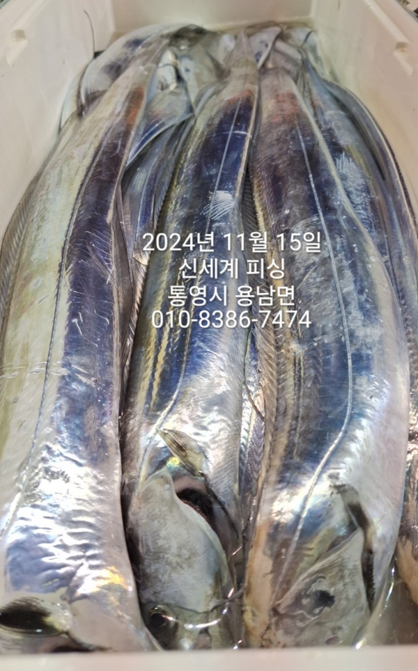 1731624113812.jpg
