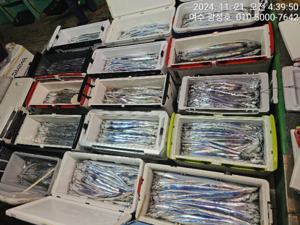 6fe8758bcaee41f8178136c2df4357a2.jpg