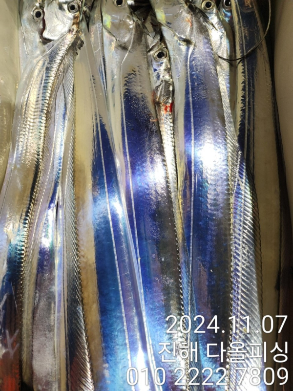 1000023644.jpg