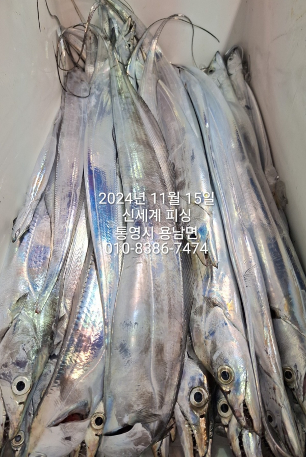 1731624113444.jpg