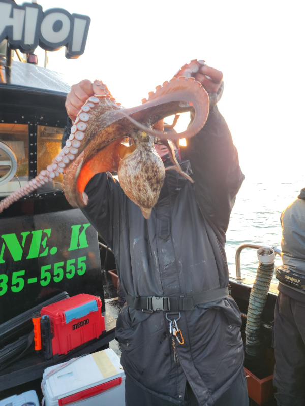■서산마린케이호☆광어 우럭 주꾸미 갑오징어 백조기 문어 감성돔 선상낚시_사진_20241125_15.jpg