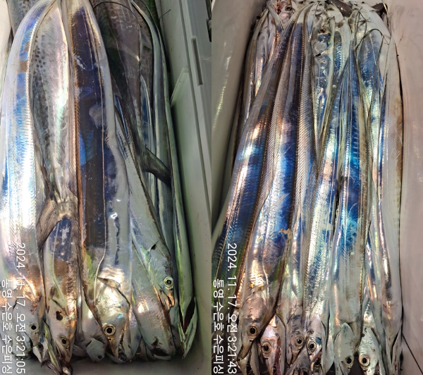 1731790973963-17-tile.jpg
