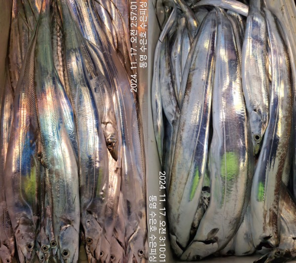 1731790973963-8-tile.jpg