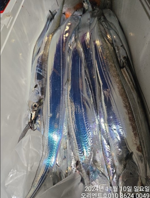 화면 캡처 2024-11-11 080043.jpg