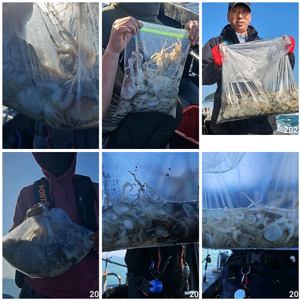 Polish_20241103_173030958 (1).jpg