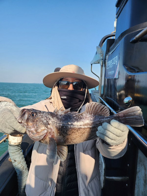 ■서산마린케이호☆광어 우럭 주꾸미 갑오징어 백조기 문어 감성돔 선상낚시_사진_20241123_10.jpg