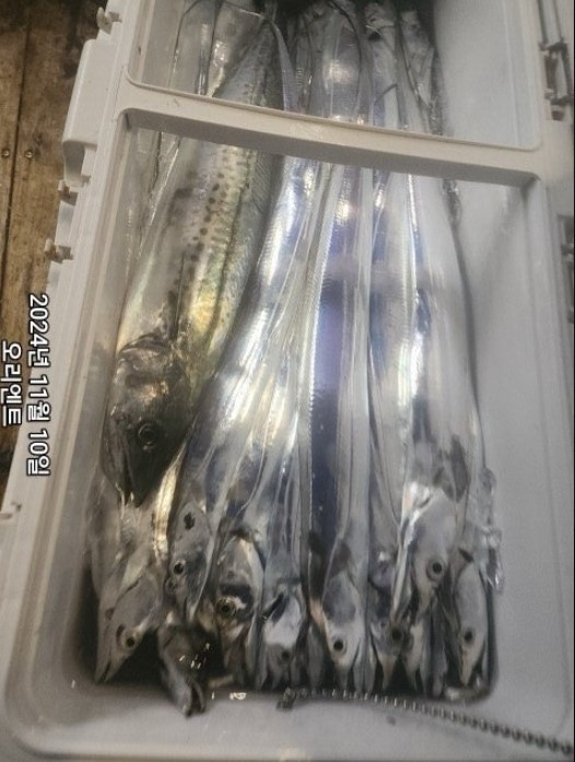 화면 캡처 2024-11-11 080210.jpg