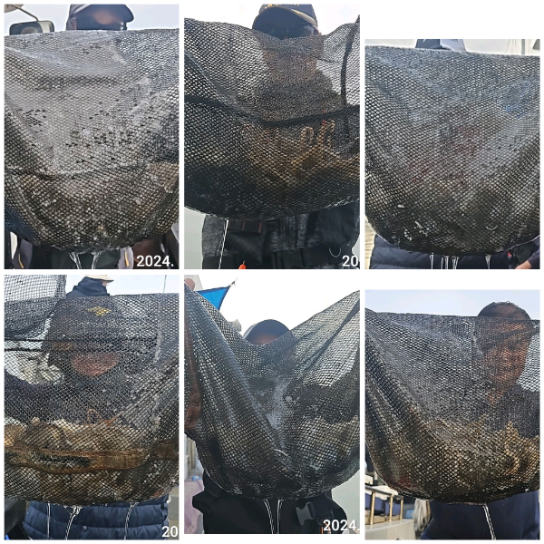 Polish_20241109_184201241 (1).jpg