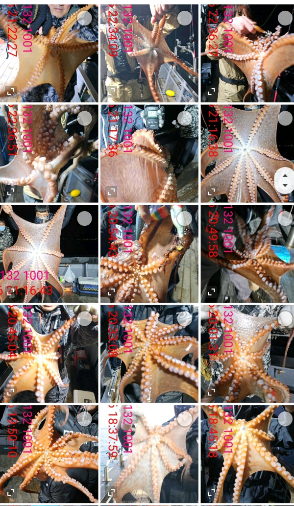 8db70b398f355edbd22bccf144fcc549.jpg