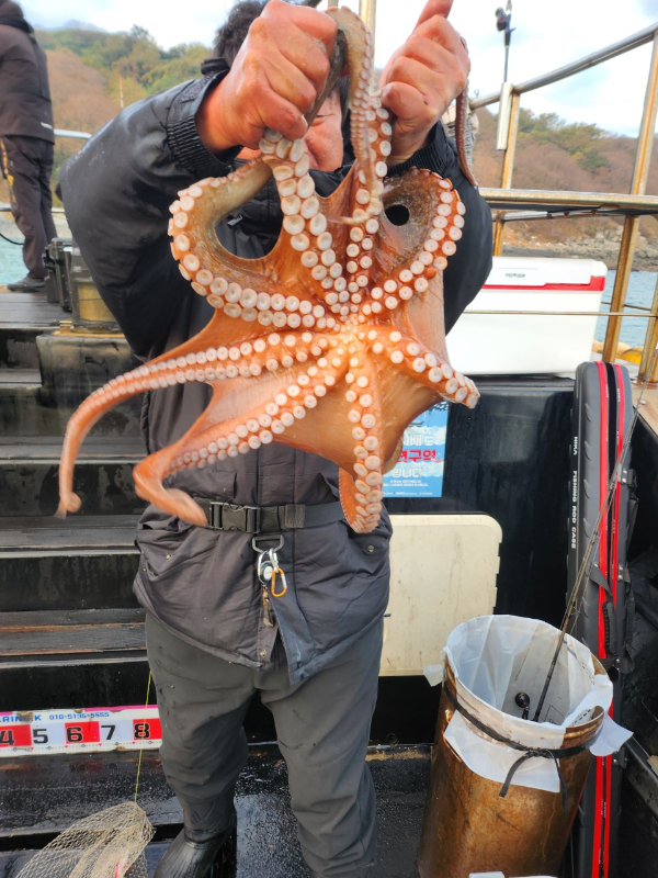 ■서산마린케이호☆광어 우럭 주꾸미 갑오징어 백조기 문어 감성돔 선상낚시_사진_20241125_8.jpg