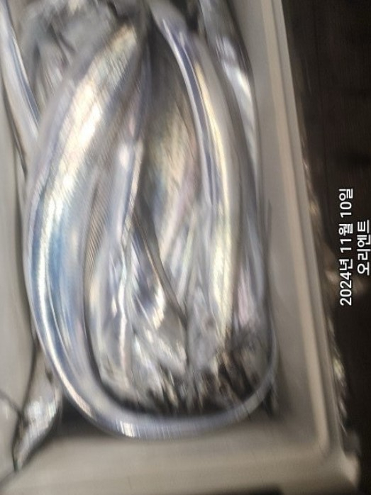 화면 캡처 2024-11-11 080240.jpg