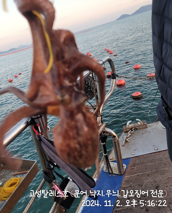 IMG_20241102_171622.jpg