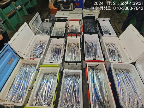9b50adf4056fd3edca4134dd122a2594.jpg
