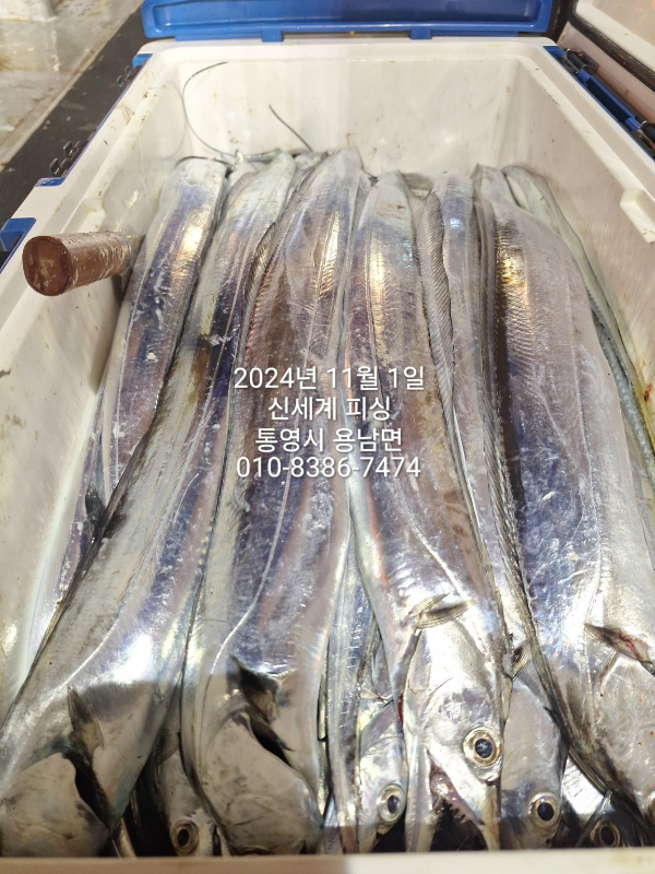 1730411095802.jpg