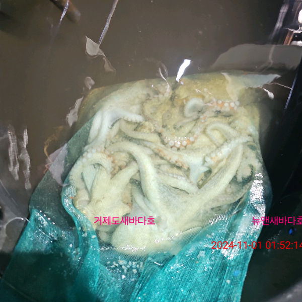 9fda9b24991de29bca0d634d4b123153.jpg
