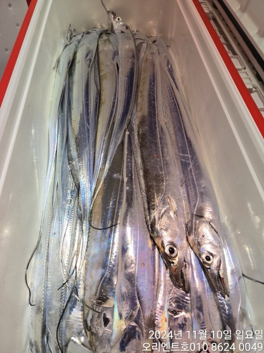 화면 캡처 2024-11-11 080407.jpg