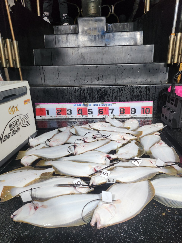 ■서산마린케이호☆광어 우럭 주꾸미 갑오징어 백조기 문어 감성돔 선상낚시_사진_20241123_1.jpg