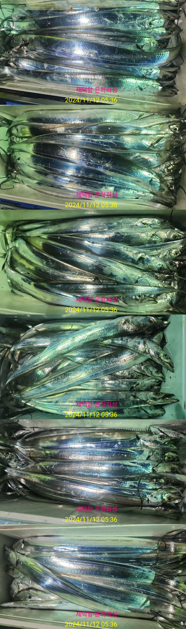 1000053420.jpg