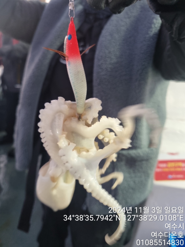 b00672c4a83df19c3fe985e9887882c7.jpeg