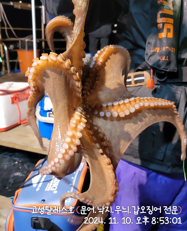 IMG_20241110_205301.jpg