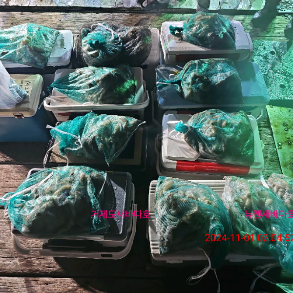 bc4f6a83a0837f374e64abc1f9a4066d.jpg