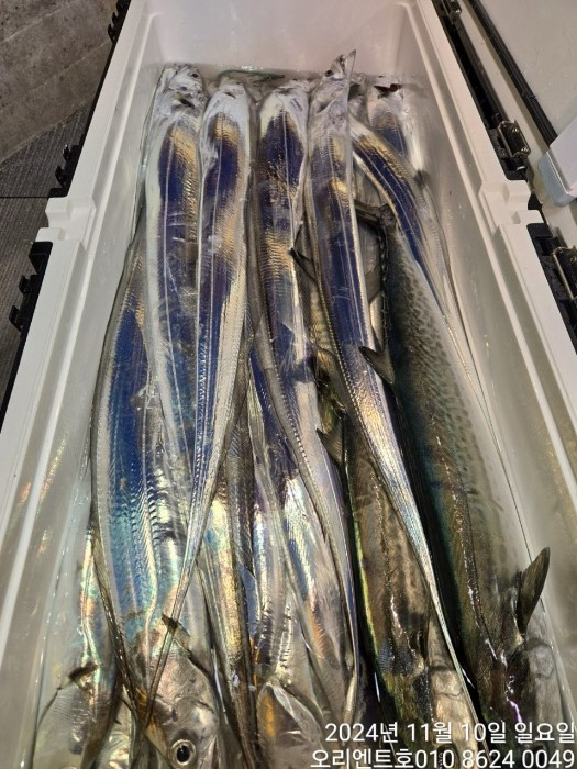 화면 캡처 2024-11-11 075726.jpg