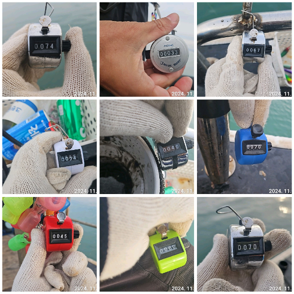 Polish_20241109_184448407 (1).jpg