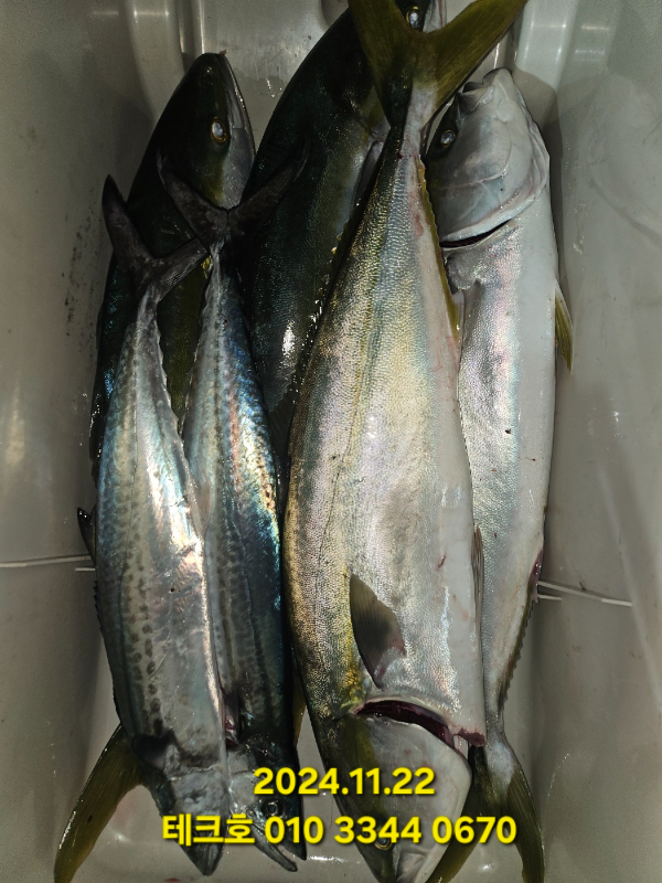 KakaoTalk_20241122_184738164_16.jpg
