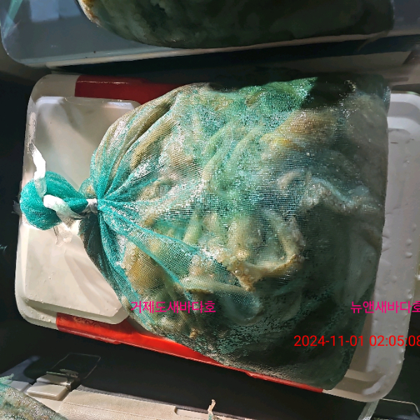 c1a5a03c7bd6d87be548709b6afe1272.jpg
