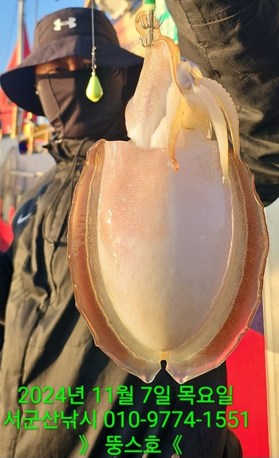 군산 선상낚시, 바다낚시 출조 전문 ☆서군산낚시☆_사진_20241107_6.jpg