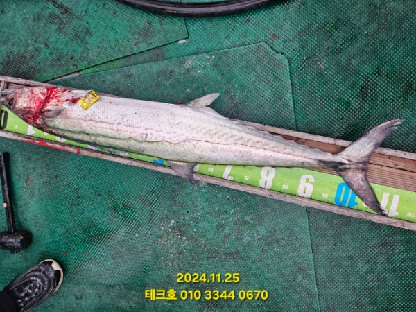 KakaoTalk_20241126_171508114.jpg