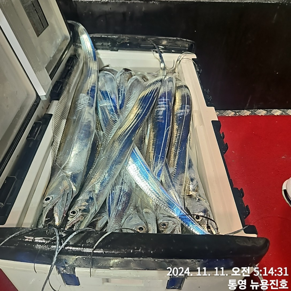 cd63de6a573336660d8206a678c75bf7.jpg
