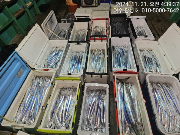 cfc4a6255a5f6129a1d5030b0a54b4f8.jpg